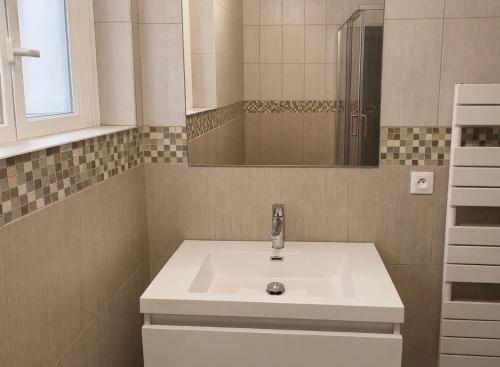 un bagno con lavandino bianco e specchio di Worgot a Monthermé