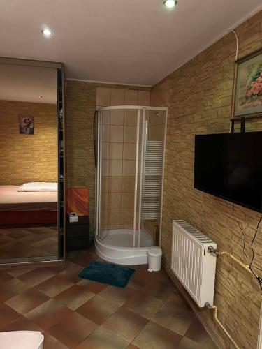 ein Badezimmer mit Dusche und Fernseher im Zimmer in der Unterkunft MiniApartament in Psary Małe
