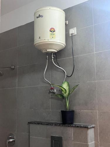 a water tank in a bathroom with a plant at Hotel PRM Sweet Stay in Bhundsi