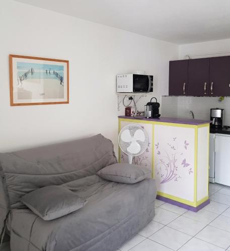 Studio fonctionnel à Agde, 30 m² avec jardin