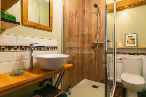 a bathroom with a sink and a shower and a toilet at Gîte La Peyrolle in Aouste-sur-Sye