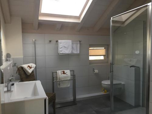a bathroom with a shower and a sink and a toilet at Bergblick Lodge in Ofterschwang