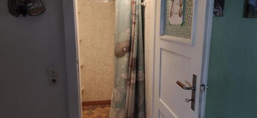 a shower in a bathroom with a person standing in it at Pension Pencik in Kurort Altenberg