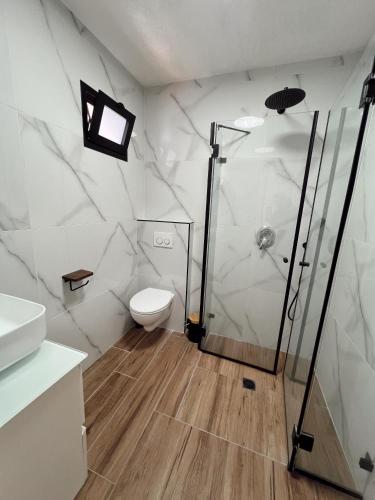 a bathroom with a shower and a toilet at בצלי-ה in Safed