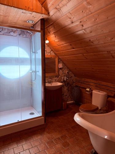 a bathroom with a shower and a toilet and a sink at House of Aurora in Šwidnik
