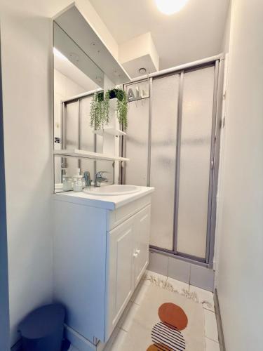 a bathroom with a sink and a mirror at T2 calme rue Pasteur appartement 1 - DABNB in Le Palais-sur-Vienne