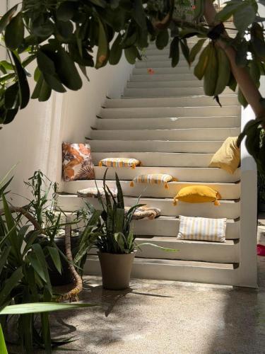 Zachos studio