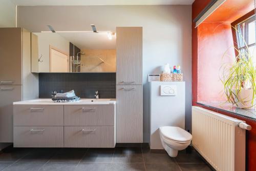 a bathroom with a toilet and a sink and a mirror at Une parenthèse en Ardenne in Nollevaux