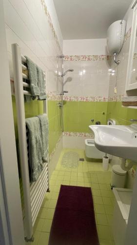 a green and white bathroom with a sink and a shower at Al numero 15 in Castel Gandolfo