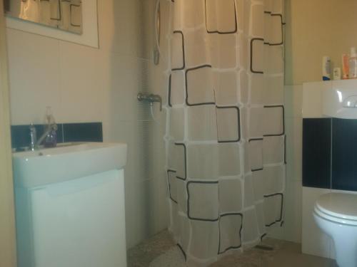 ein Badezimmer mit Dusche, Waschbecken und Toilette in der Unterkunft AAprivat Tatry in Svit