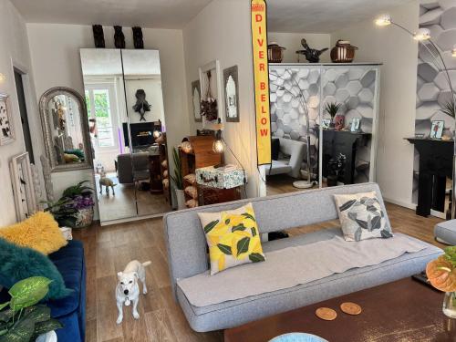 Shared private Appart for up to 2 male traveler under 30s and 2 flatmates résidents