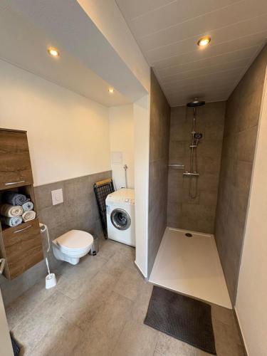 a bathroom with a toilet and a washing machine at Ferienwohnung Arend in Nonnweiler