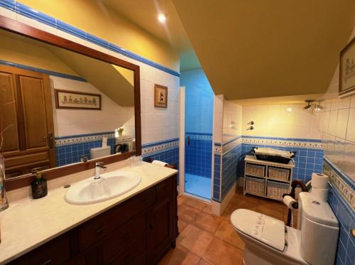 a bathroom with a sink and a toilet and a mirror at La Villa de Pi in Garcillán