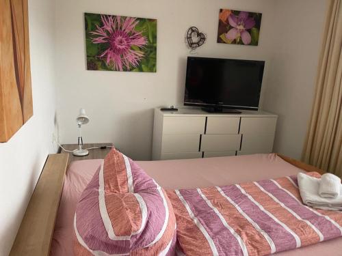 Appartement Moni XXL 55m2