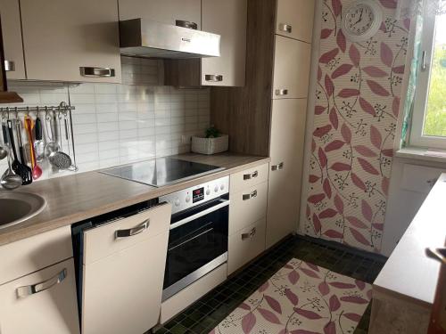 Appartement Moni XXL 55m2