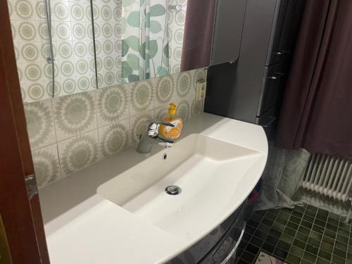 Appartement Moni XXL 55m2