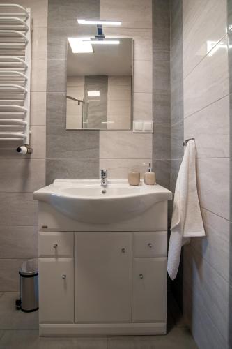 a bathroom with a white sink and a mirror at Bieślin 41 in Bieślin