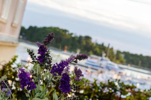 a bunch of purple flowers in front of a harbor at Apartment Noemi in Rovinj