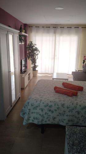C/Loft terrazas de la Marina