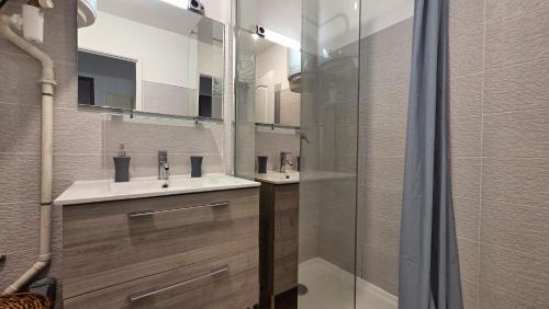 a bathroom with a sink and a shower at L'Arymarius 12 in Saint-Pierre