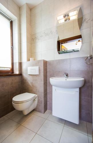 a bathroom with a toilet and a sink at Noclegi Biały Bór Widok na góry i Zalew Soliński 530-487-636 in Polańczyk