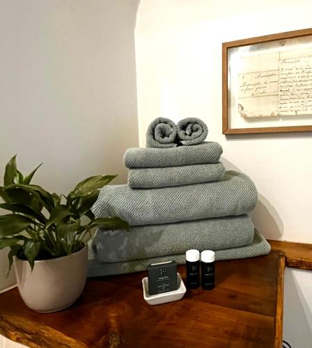 a stack of towels on a table with a plant at Ostalon de Sénégats in Lacaze