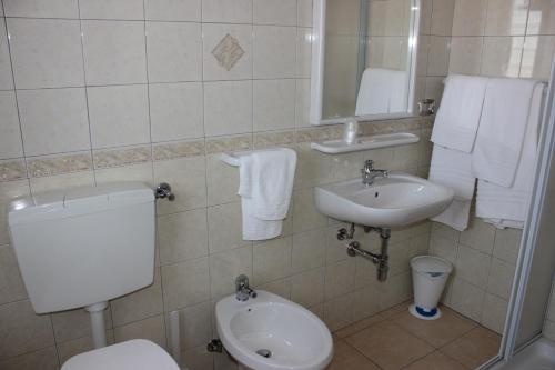 a bathroom with a toilet and a sink at Hotel Cenzo in Ovindoli