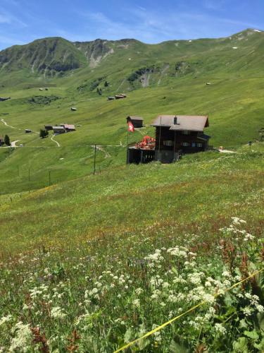 a house on a hill with a field of flowers at Berggasthaus-Strassberg in Strassberg