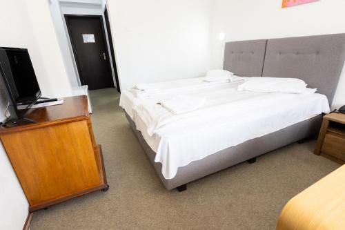 a bedroom with a bed and a flat screen tv at Hotel Venus in Slănic-Moldova
