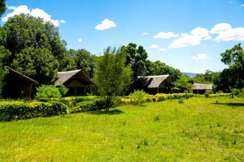 a field of grass with houses in the background at Giraffe Hills Mara Camp in Ololaimutiek