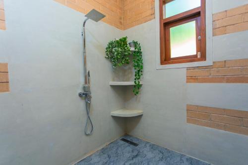 a bathroom with a shower with a toilet and a window at Legato House in Talpe