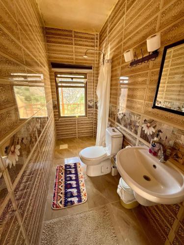 a bathroom with a toilet and a sink at Wild Dana Eco Lodge- Hotel-Eco-Camp in Dana