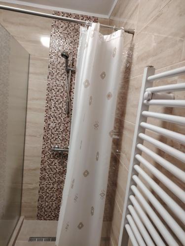 a shower with a shower curtain in a bathroom at Casa Alma in Paşcani
