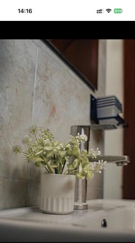 a potted plant sitting on top of a sink at Lunora Homes in Arusha
