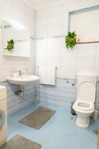 a bathroom with a toilet and a sink at Etno vila Međugorje in Čapljina