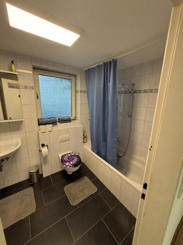 a bathroom with a shower and a toilet and a sink at Sam Apartments LU/Oppau in Ludwigshafen am Rhein