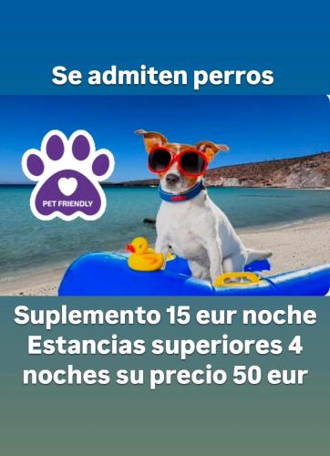 a dog wearing sunglasses is sitting on a paddle board on a beach at Cádiz Playa La Caleta Terraza con Barbacoa in Cádiz