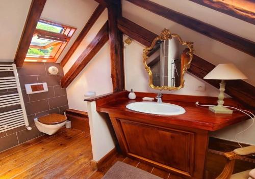a bathroom with a sink and a mirror at La Grange de Jeanne in Moosch