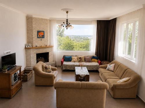 a living room with two couches and a fireplace at Kibula Horizon in Ureki