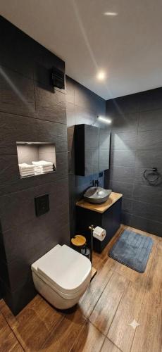 a bathroom with a toilet and a sink at Rhodopski Apartment in Chepelare