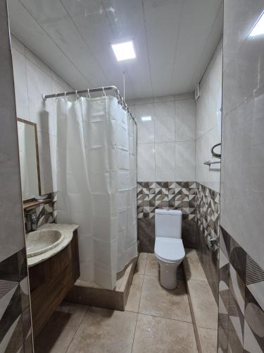 a bathroom with a toilet and a sink and a shower at At home in Yerevan