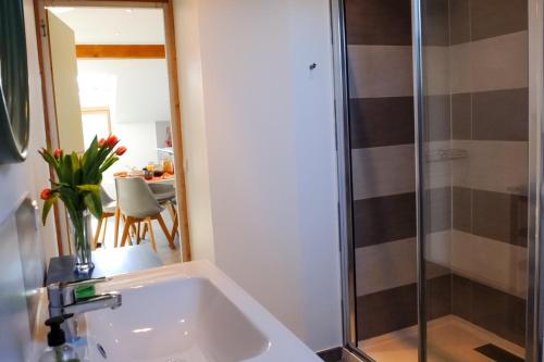 une salle de bain avec un lavabo et une douche dans l'établissement Appart'hôtel 