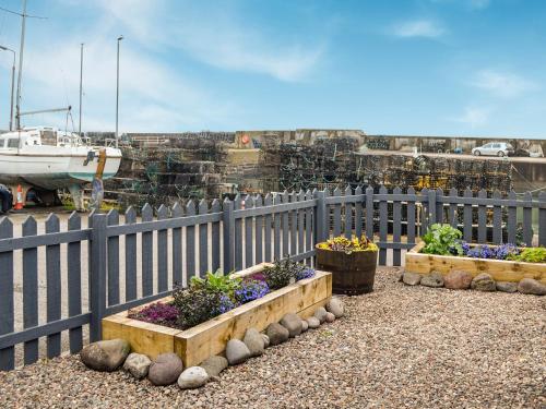 a fence with some flowers in a garden at Fifie Cottage in Johnshaven