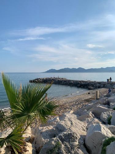 Direct Beach Access 2 Bdr Sleeps 5