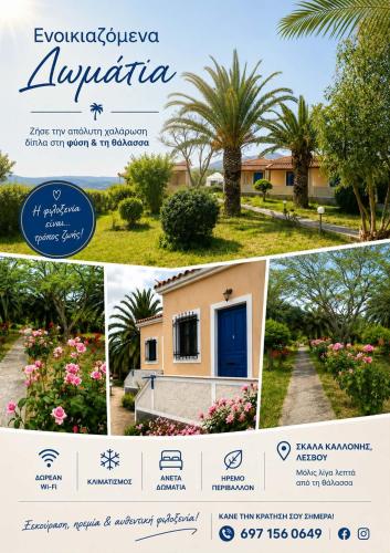 a collage of photos of a villa with a house at Oasis Studios Skala Kallonis in Skala Kallonis