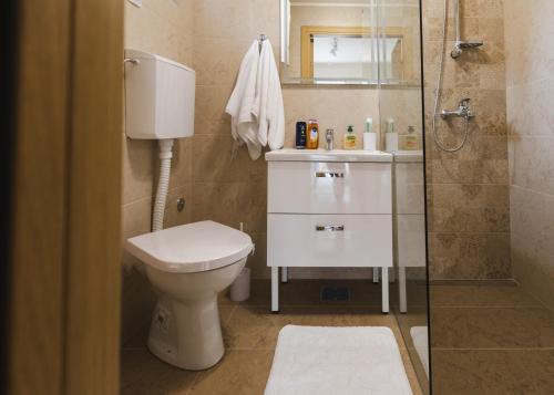 a bathroom with a toilet and a shower at apartman STUDIO ELEGANCE in Bečej