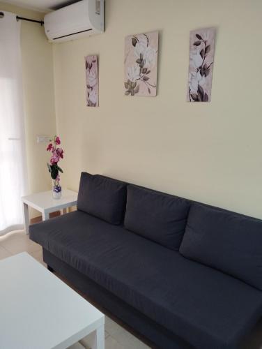 C/Loft terrazas de la Marina