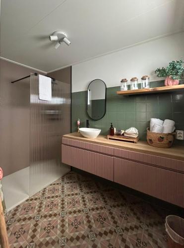 a bathroom with a sink and a mirror at Bed & Breakfast Betuws Genieten in Tiel