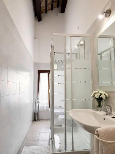 a bathroom with a glass shower and a sink at Baco Da Seta Residence con Piscina - Venezia Mestre in Mestre