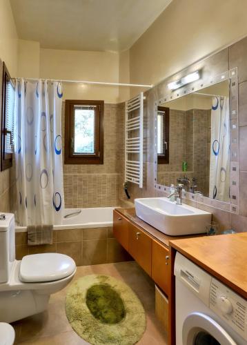 a bathroom with a sink and a toilet and a shower at Rodoula apts By Comfortbnb in Roússa Ekklisía